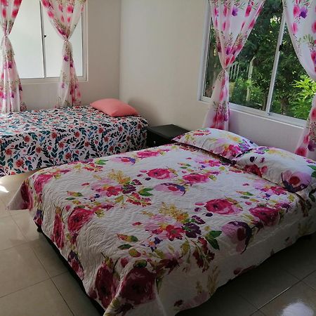 Posada Miss Portia South West Bay 객실 사진